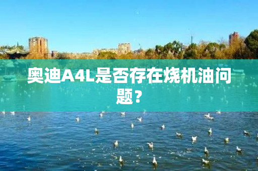 奥迪A4L是否存在烧机油问题？