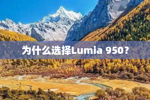 为什么选择Lumia 950？