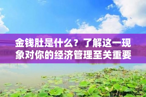 金钱肚是什么？了解这一现象对你的经济管理至关重要