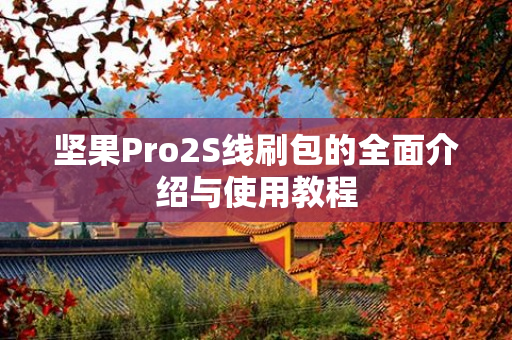 坚果Pro2S线刷包的全面介绍与使用教程