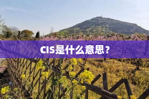 CIS是什么意思？