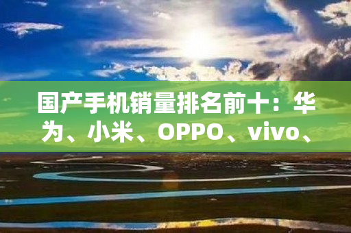 国产手机销量排名前十：华为、小米、OPPO、vivo、荣耀、魅族、realme、一加、努比亚、中兴