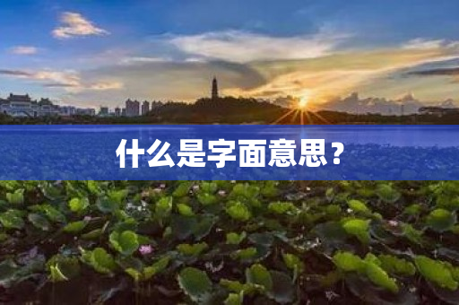 什么是字面意思？