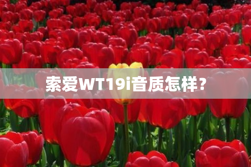 索爱WT19i音质怎样？