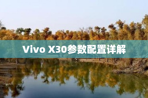 Vivo X30参数配置详解