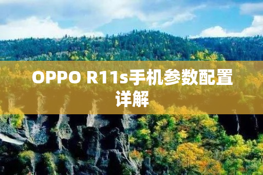 OPPO R11s手机参数配置详解