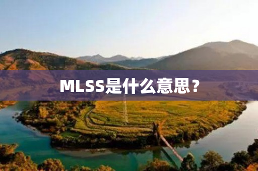 MLSS是什么意思？