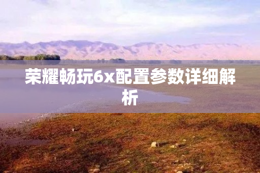 荣耀畅玩6x配置参数详细解析