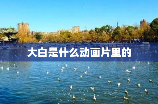 大白是什么动画片里的