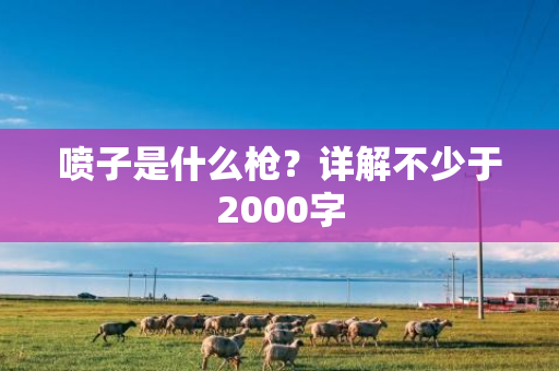 喷子是什么枪？详解不少于2000字