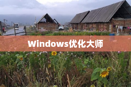 Windows优化大师