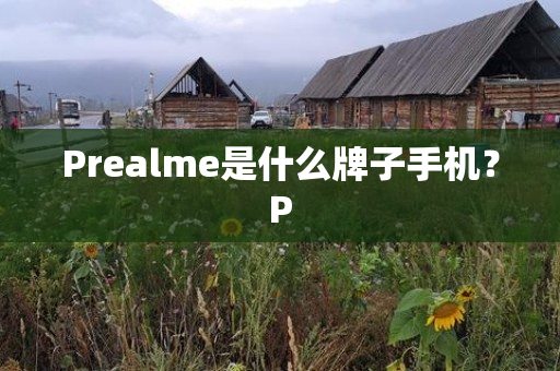 Prealme是什么牌子手机？P