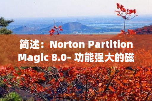 简述：Norton PartitionMagic 8.0- 功能强大的磁盘分区工具