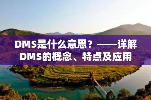 DMS是什么意思？——详解DMS的概念、特点及应用