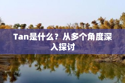 Tan是什么？从多个角度深入探讨