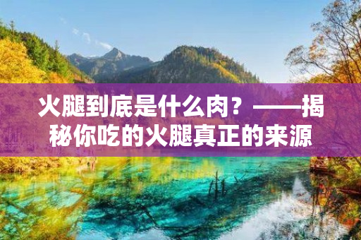 火腿到底是什么肉？——揭秘你吃的火腿真正的来源