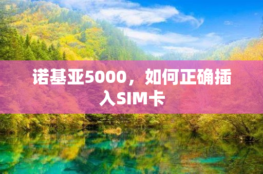 诺基亚5000，如何正确插入SIM卡