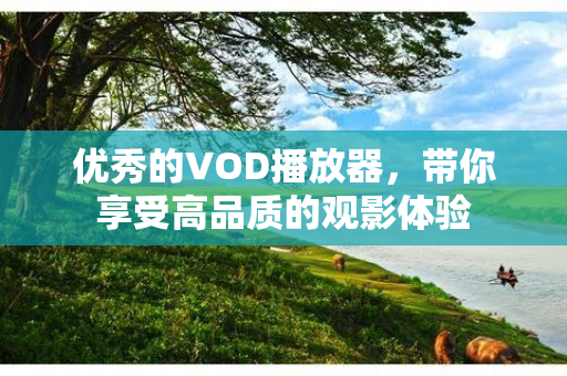 优秀的VOD播放器，带你享受高品质的观影体验