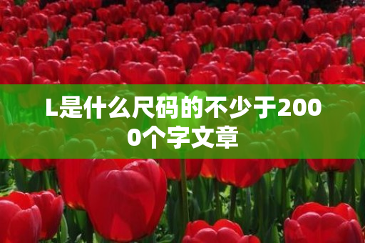 L是什么尺码的不少于2000个字文章