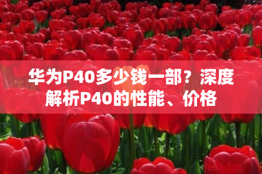 华为P40多少钱一部？深度解析P40的性能、价格