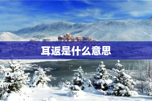 耳返是什么意思