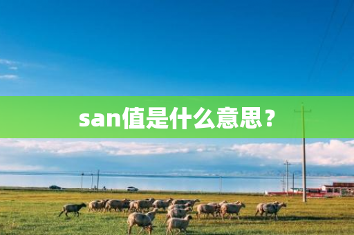 san值是什么意思？