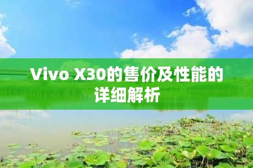 Vivo X30的售价及性能的详细解析