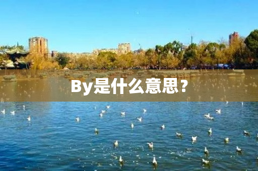 By是什么意思？