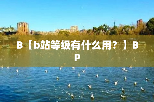 B【b站等级有什么用？】BP