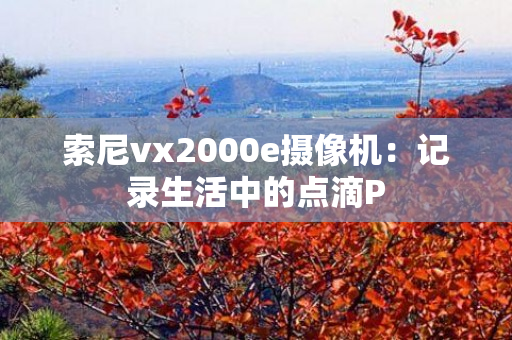 索尼vx2000e摄像机：记录生活中的点滴P