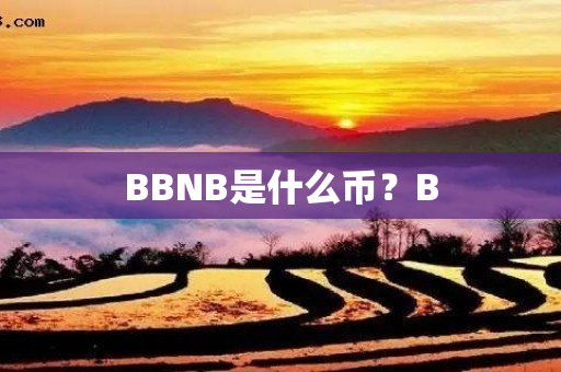 BBNB是什么币？B