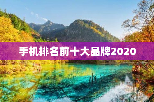 手机排名前十大品牌2020