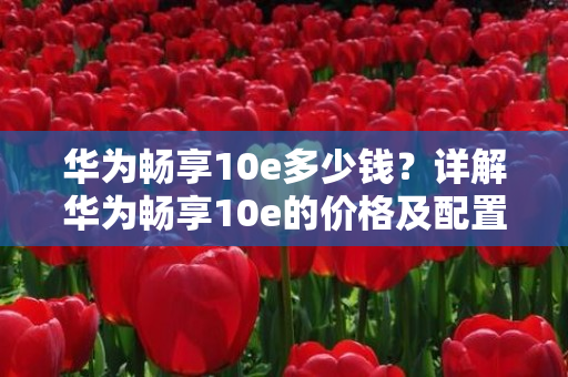 华为畅享10e多少钱？详解华为畅享10e的价格及配置