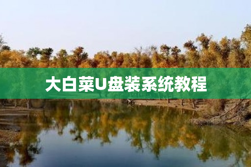 大白菜U盘装系统教程