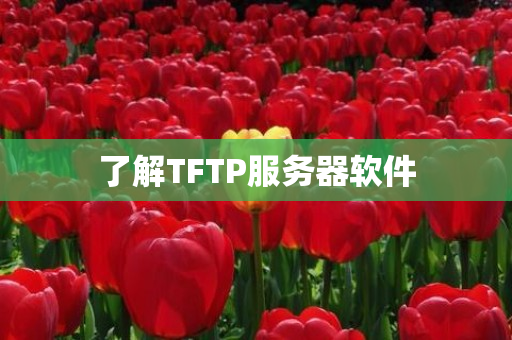 了解TFTP服务器软件