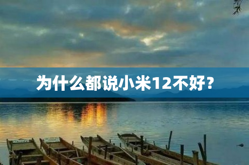 为什么都说小米12不好？