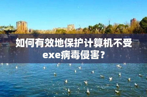 如何有效地保护计算机不受exe病毒侵害？