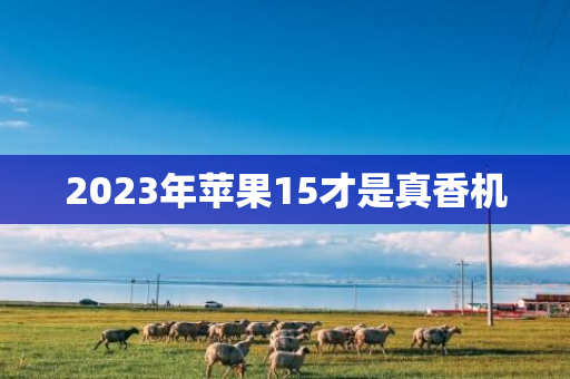 2023年苹果15才是真香机