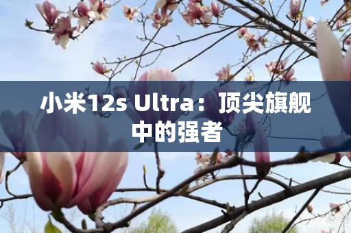 小米12s Ultra：顶尖旗舰中的强者