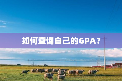 如何查询自己的GPA？