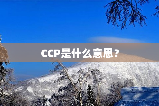 CCP是什么意思？