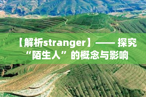 【解析stranger】—— 探究“陌生人”的概念与影响