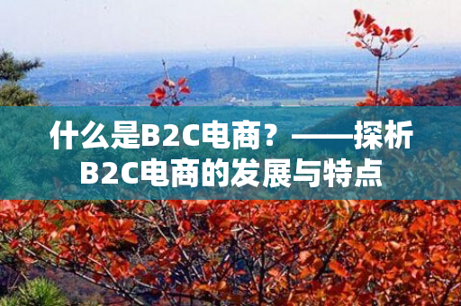 什么是B2C电商？——探析B2C电商的发展与特点