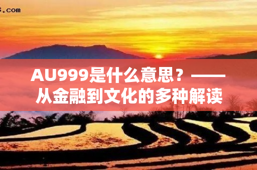 AU999是什么意思？——从金融到文化的多种解读