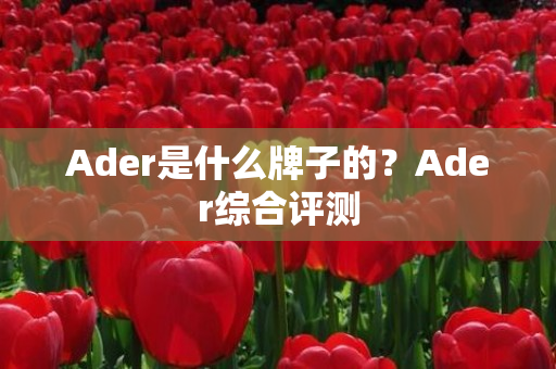 Ader是什么牌子的？Ader综合评测