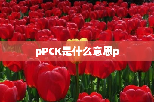 pPCK是什么意思p