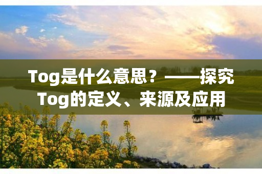 Tog是什么意思？——探究Tog的定义、来源及应用