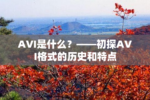 AVI是什么？——初探AVI格式的历史和特点