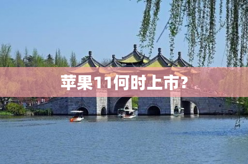 苹果11何时上市？