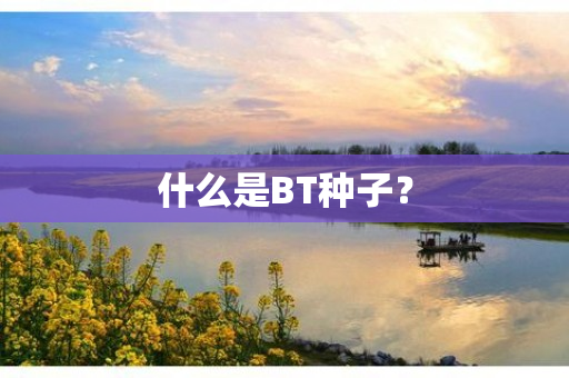 什么是BT种子？